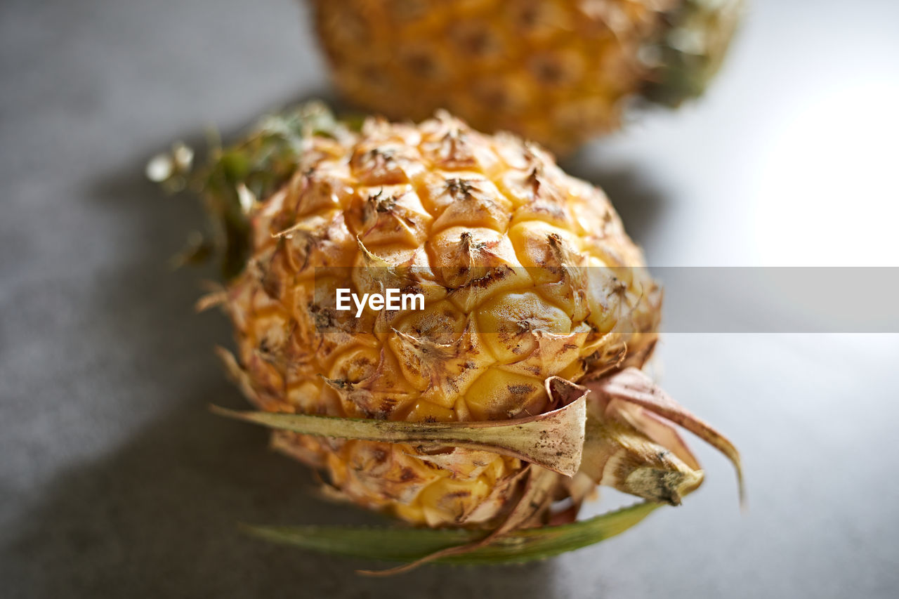 plant, food and drink, food, produce, pineapple, flower, healthy eating, wellbeing, no people, freshness, close-up, fruit, indoors, dish, nature, studio shot, thistle, leaf, vegetable