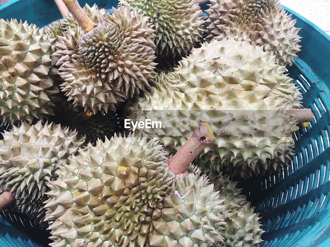 Close-up of durians 