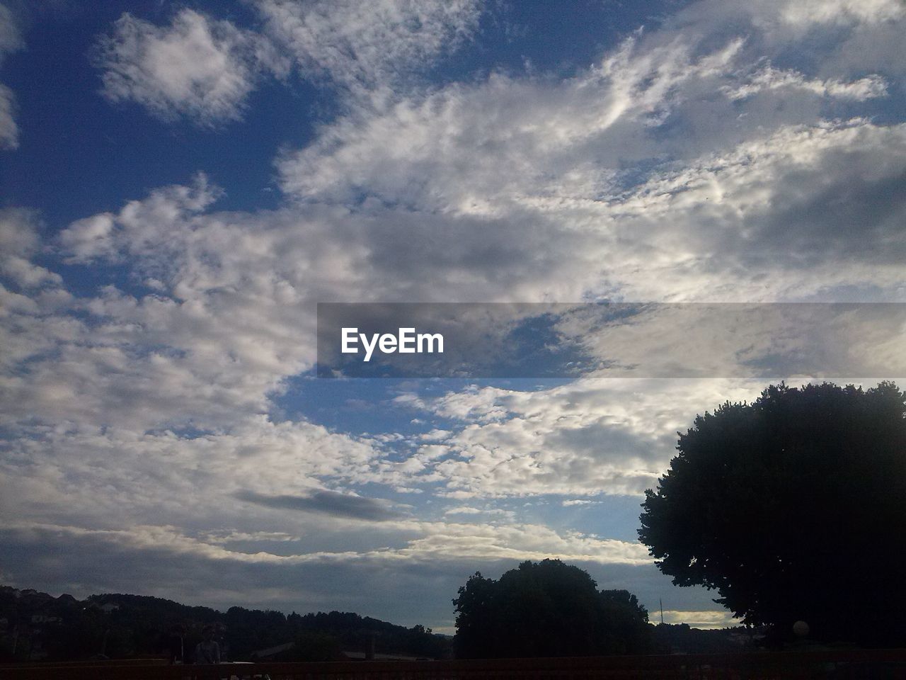 TREES AGAINST CLOUDY SKY