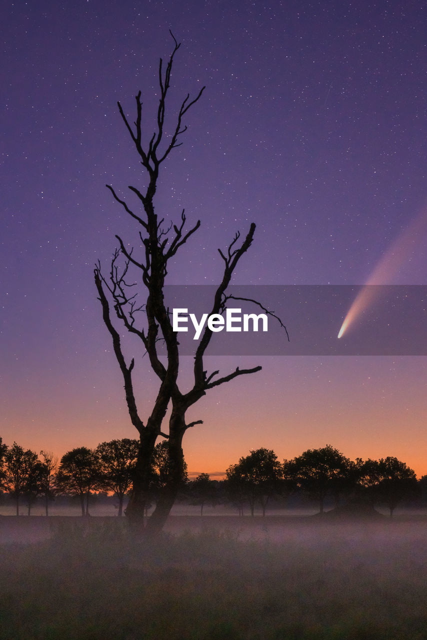 Silhouette bare tree on field against sky at night with neowise comet passing by