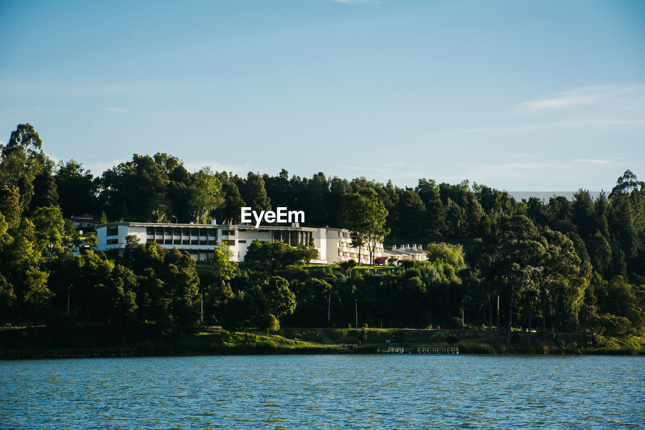 TREES AND PLANTS BY RIVER AGAINST BUILDINGS