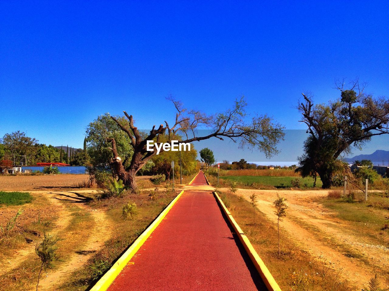 View of footpath in farm