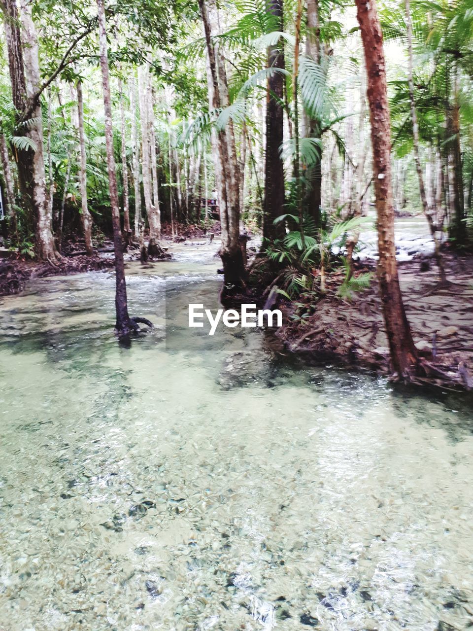 SCENIC VIEW OF WATERFALL