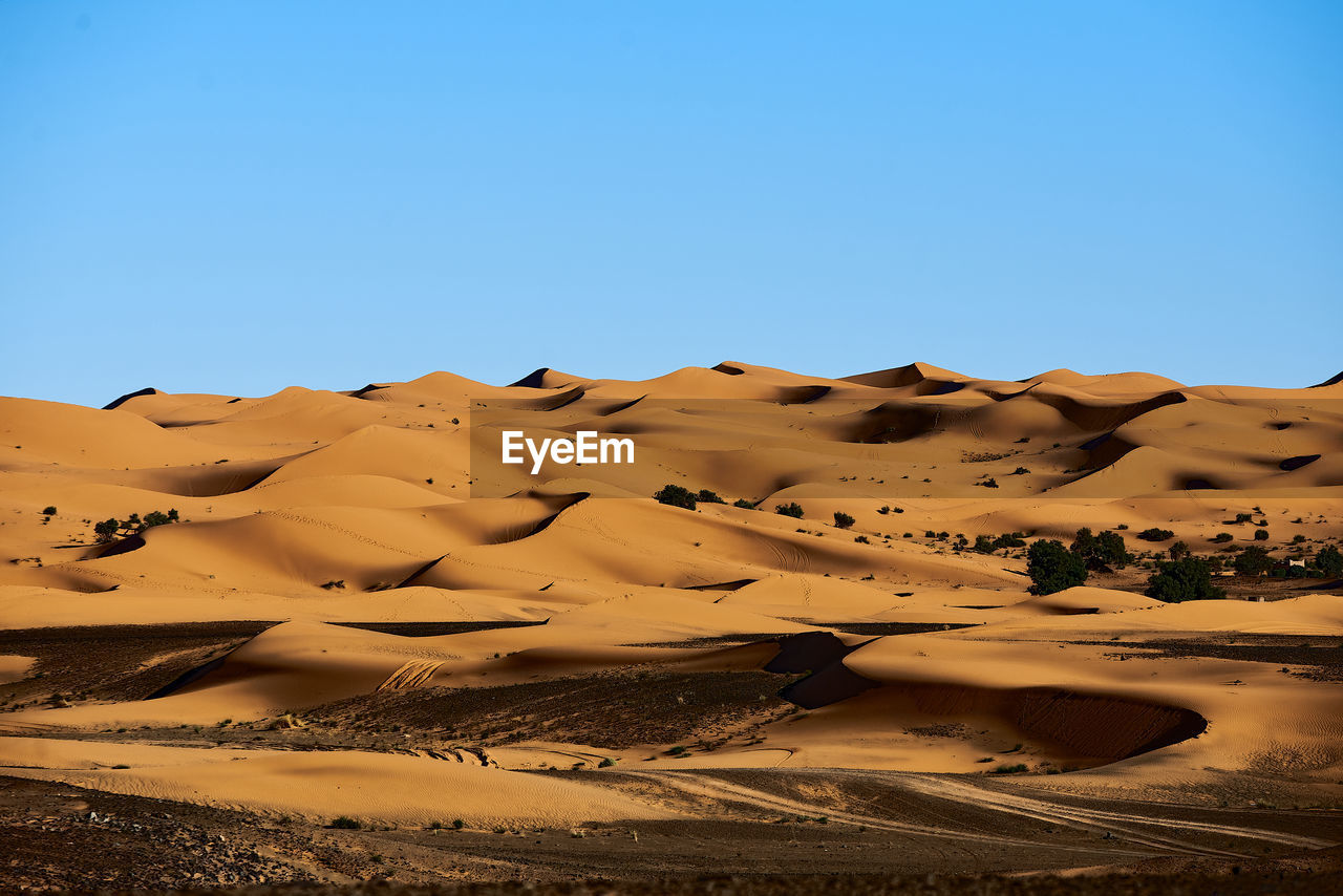 SCENIC VIEW OF DESERT AGAINST CLEAR SKY