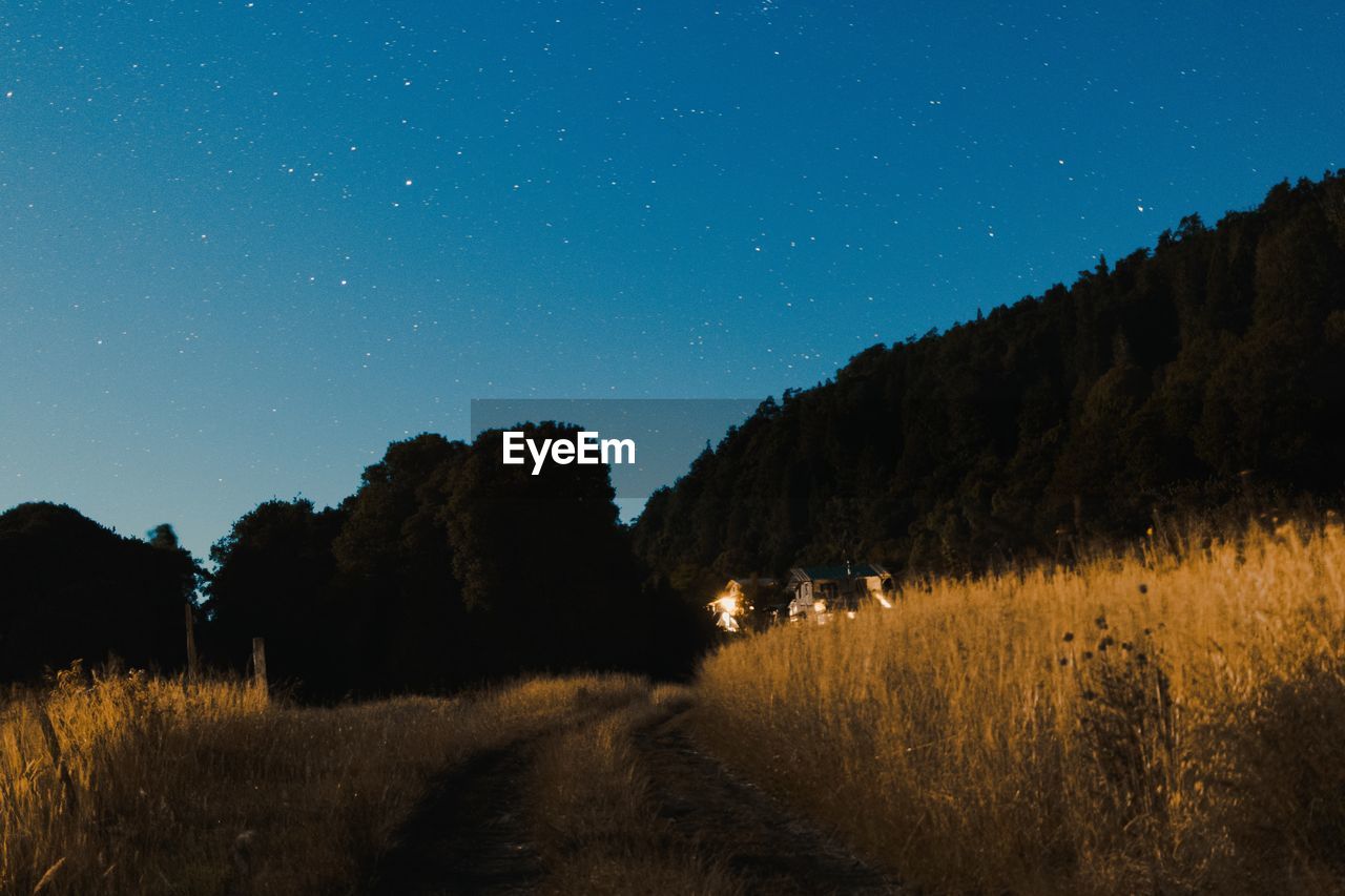 Trees on field against clear sky at night