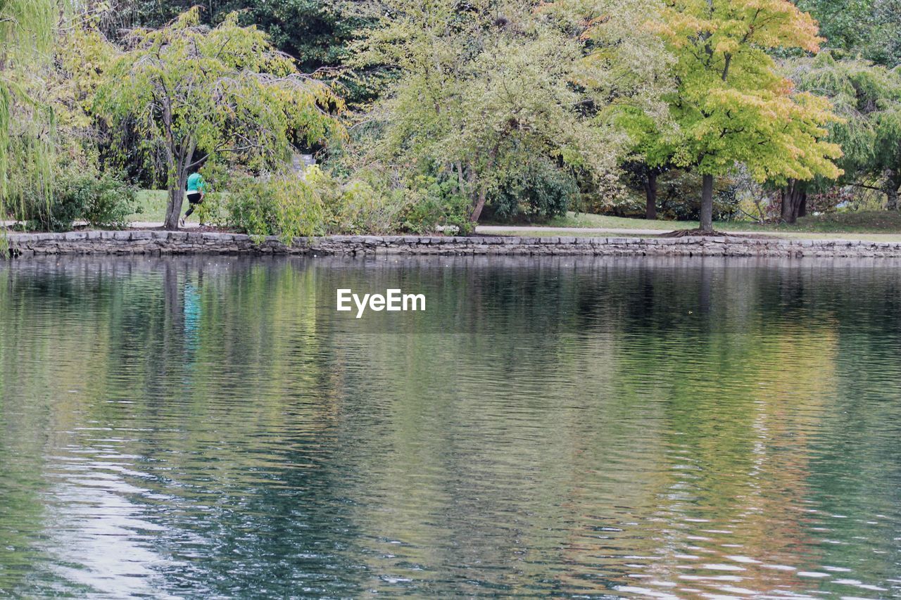 SCENIC VIEW OF LAKE WITH TREES REFLECTION