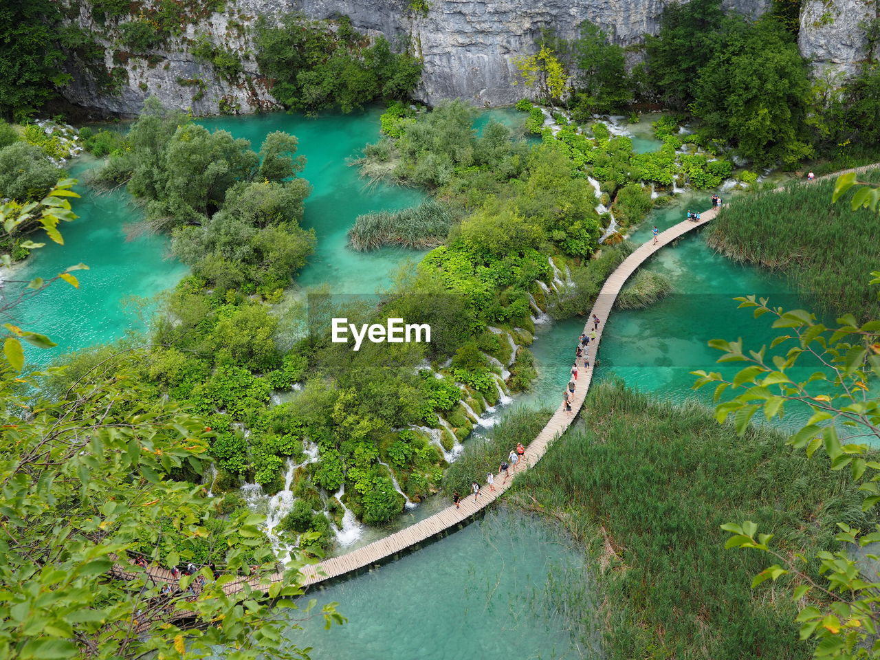 High angle view of trees by lake