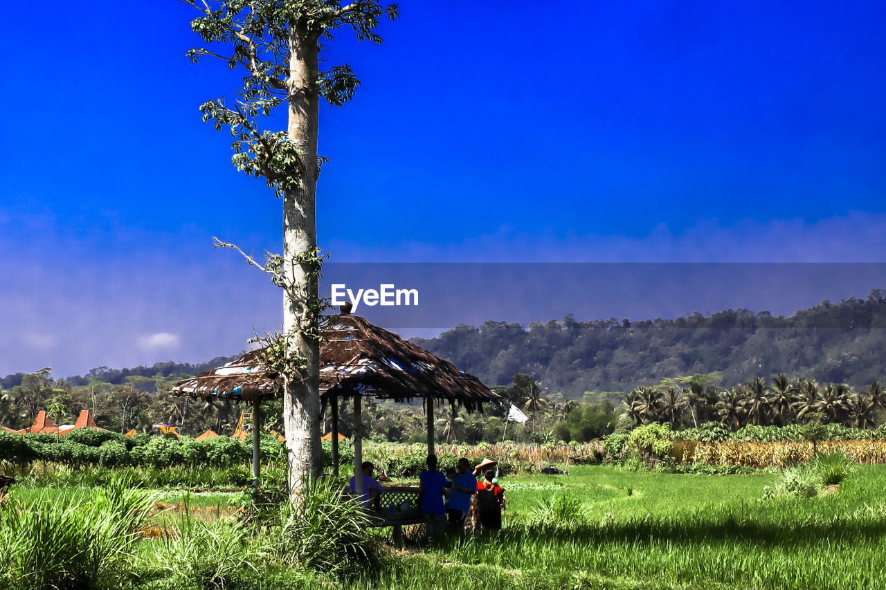 PEOPLE RELAXING ON FIELD AGAINST TREES