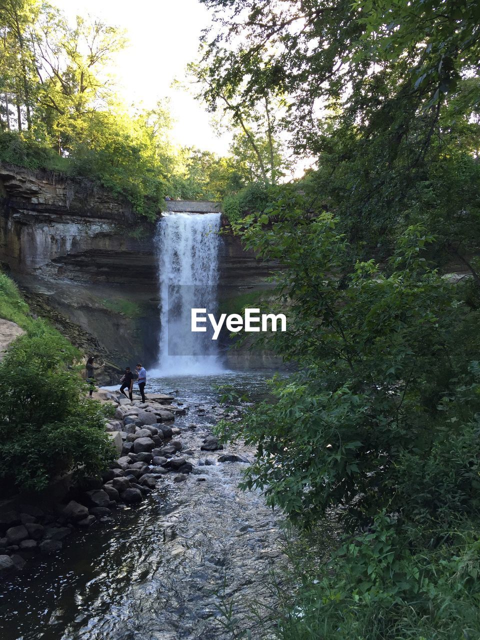 WATERFALL IN FOREST