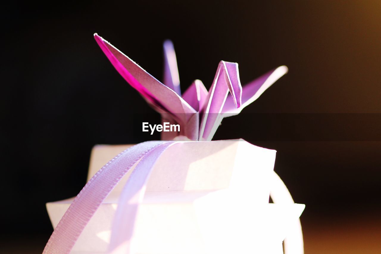 CLOSE-UP OF FLOWERS OVER BLACK BACKGROUND