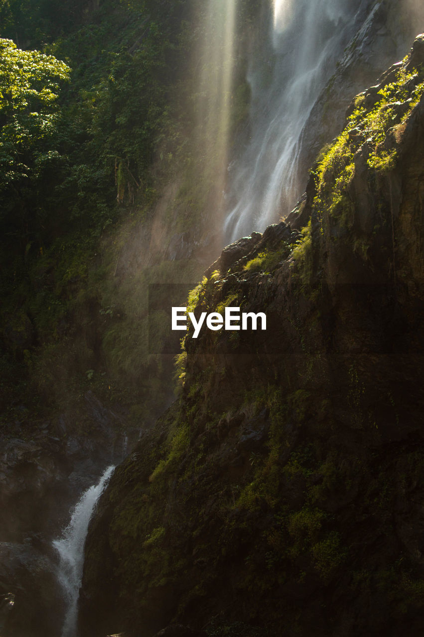 SCENIC VIEW OF WATERFALL AMIDST TREES