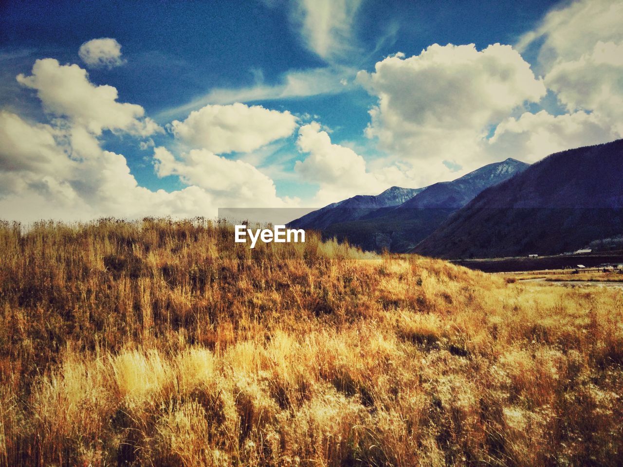 PANORAMIC VIEW OF FIELD AGAINST SKY