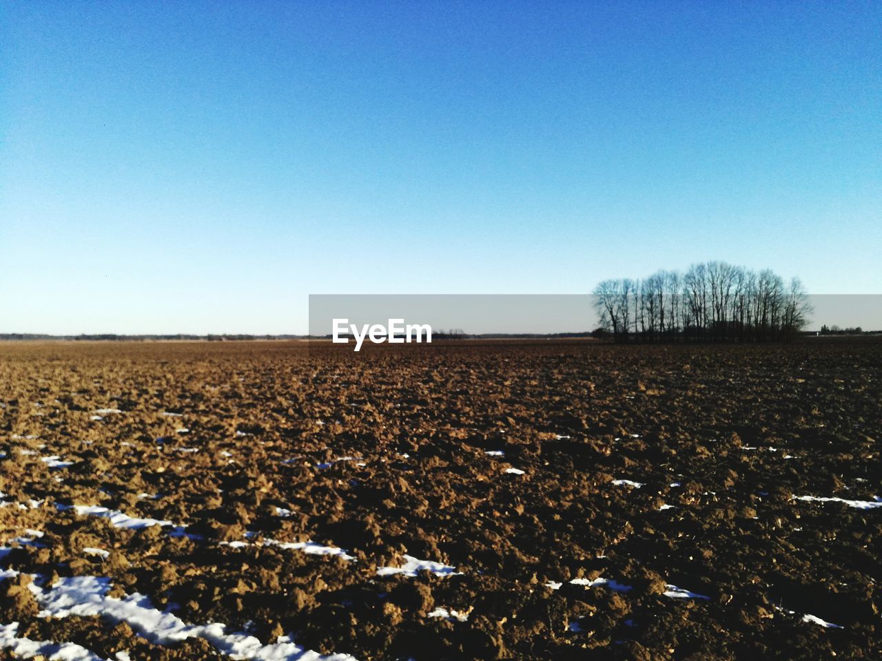 FIELD AGAINST CLEAR BLUE SKY