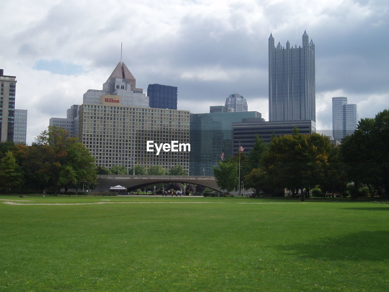 VIEW OF SKYSCRAPERS IN PARK