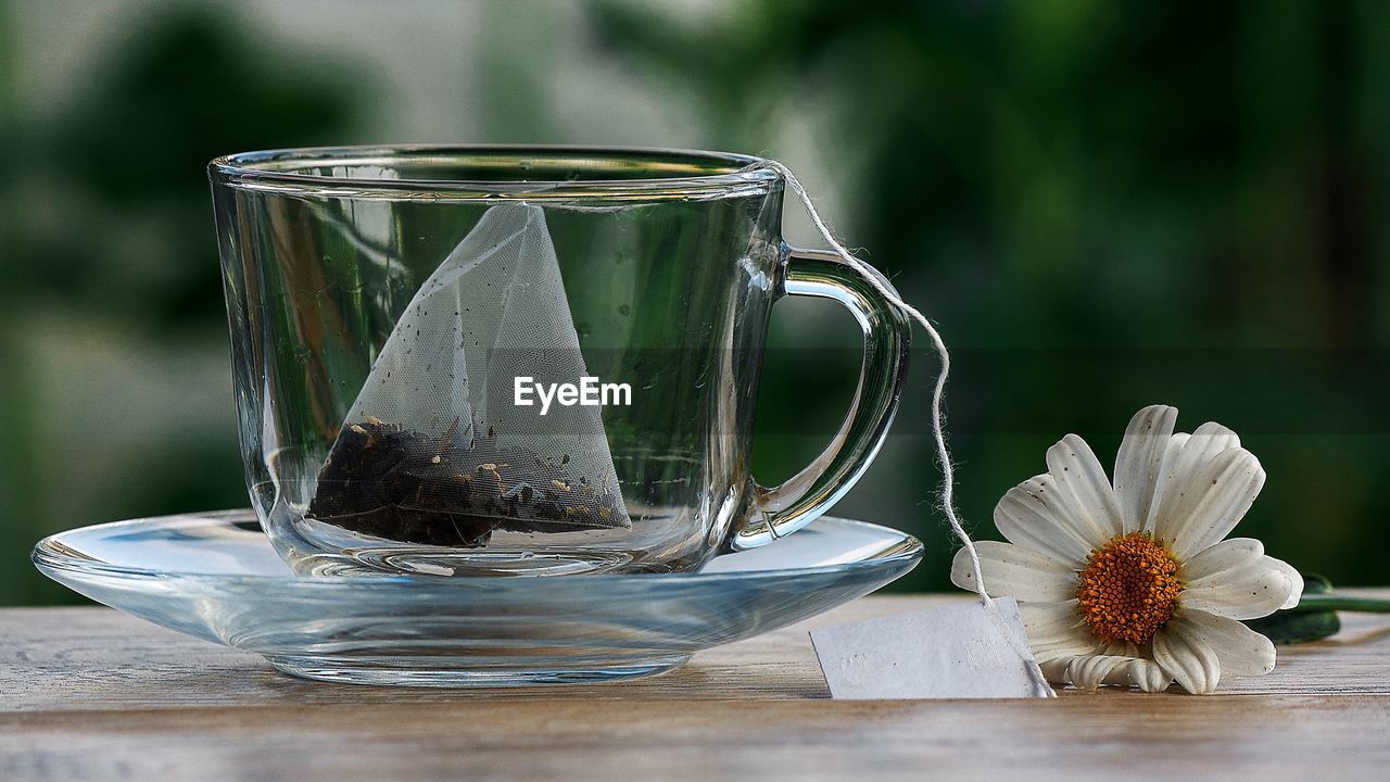 Teabag in an empty cup