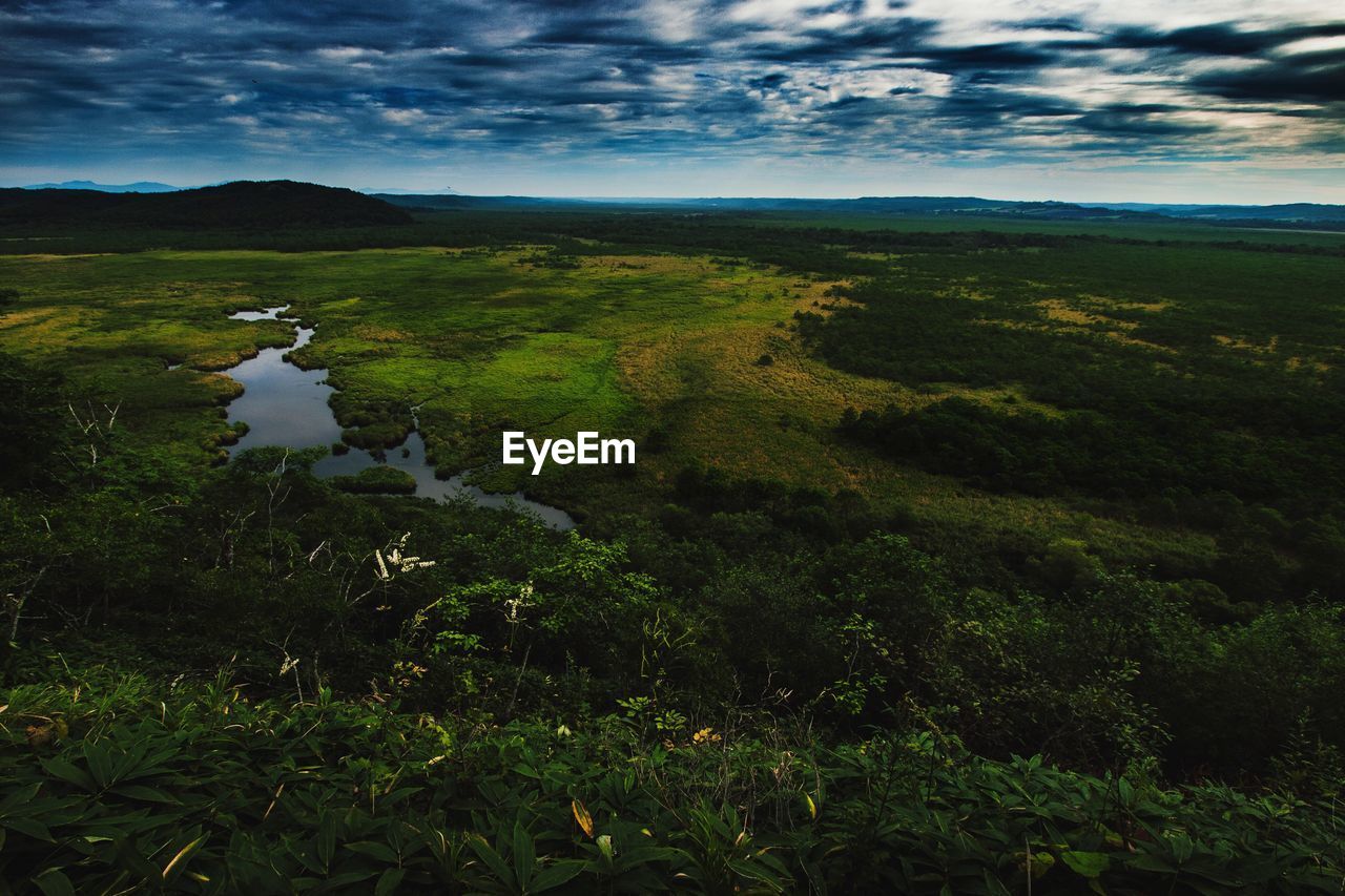 SCENIC VIEW OF LANDSCAPE