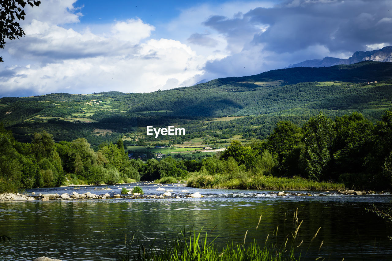 Scenic view of lake by trees against sky