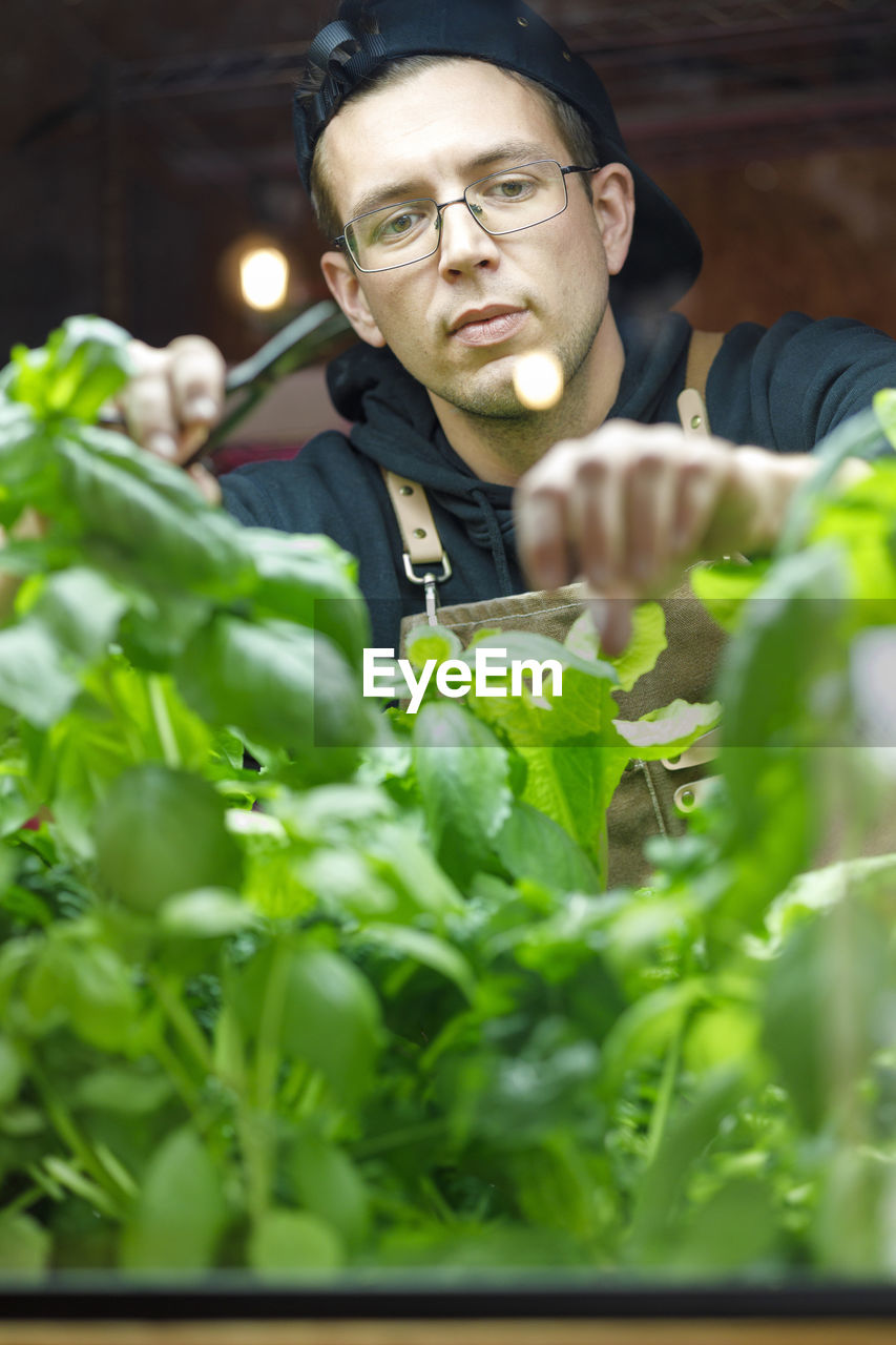 Chef pruning herb garden in restaurant