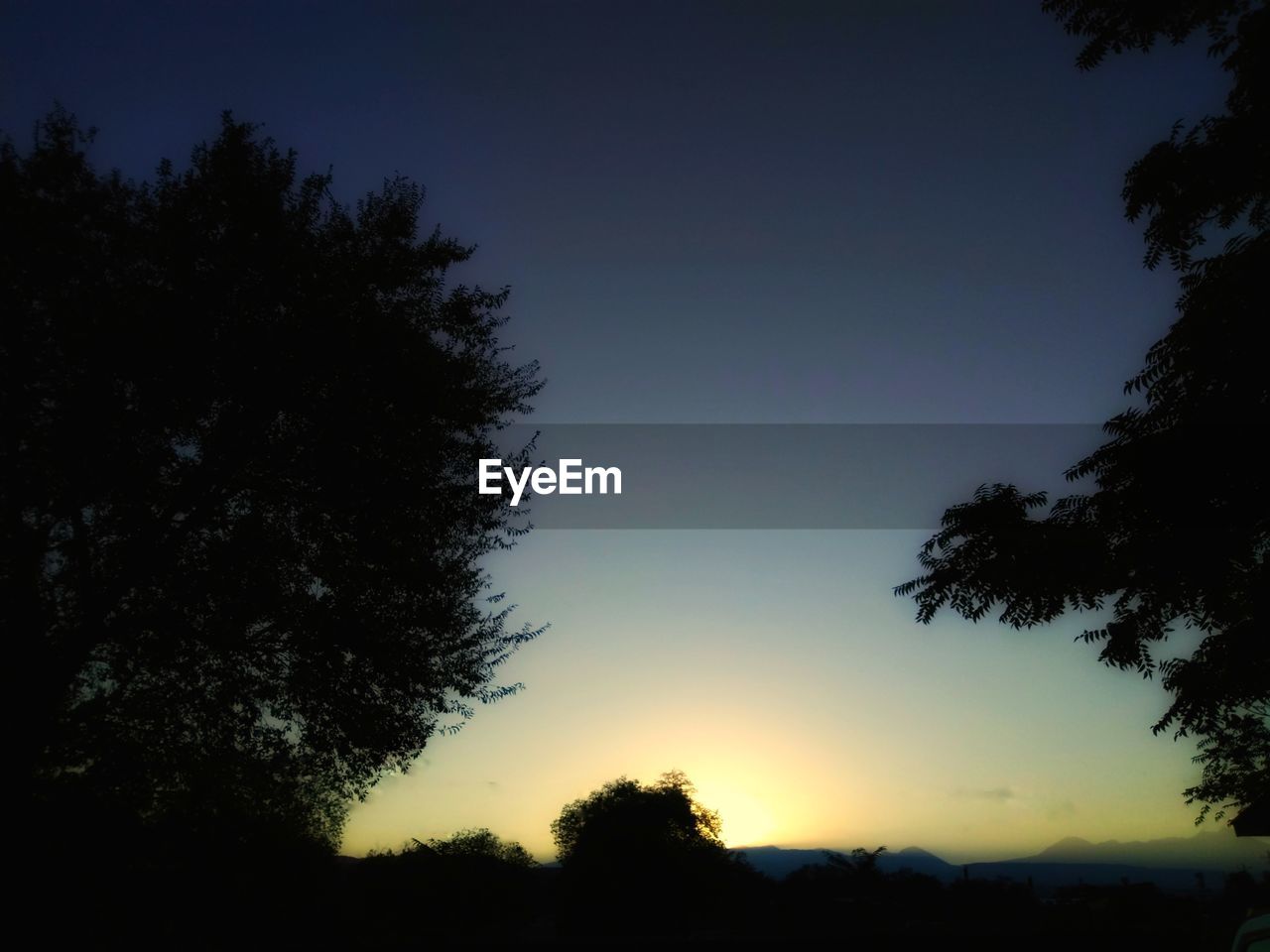 LOW ANGLE VIEW OF SILHOUETTE TREES AGAINST SKY DURING SUNSET