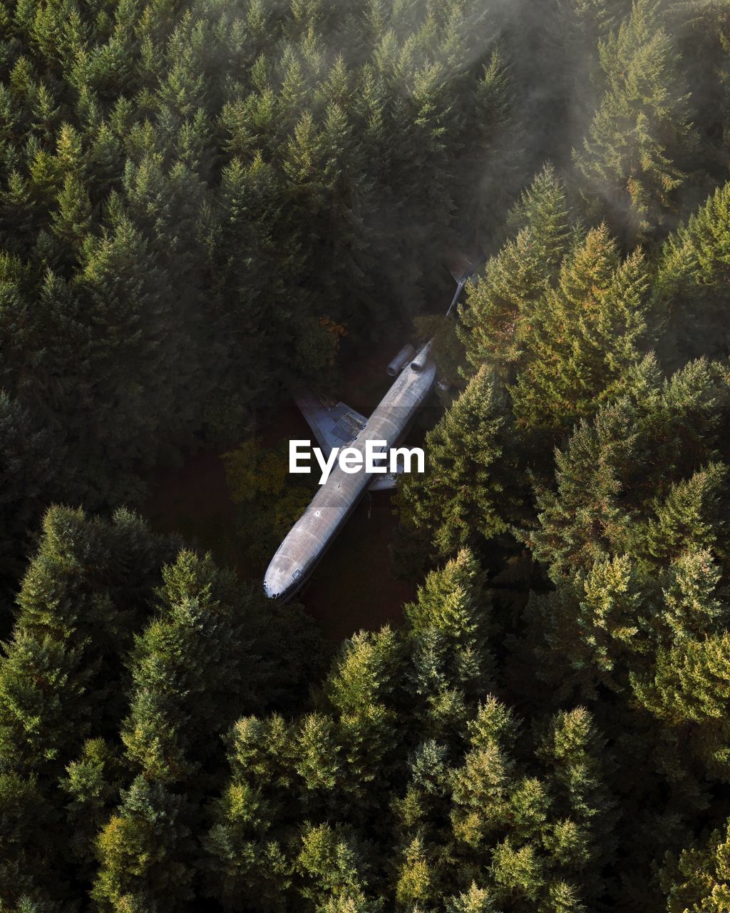 HIGH ANGLE VIEW OF AIRPLANE FLYING IN FOREST