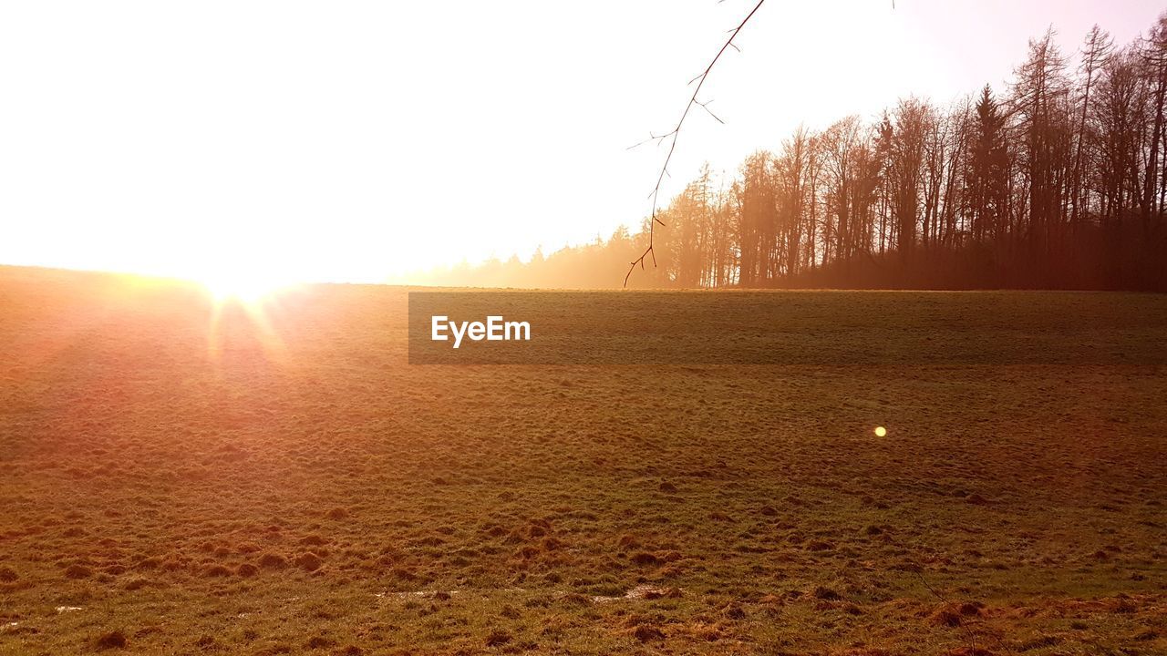 SCENIC VIEW OF FIELD AGAINST SKY DURING WINTER