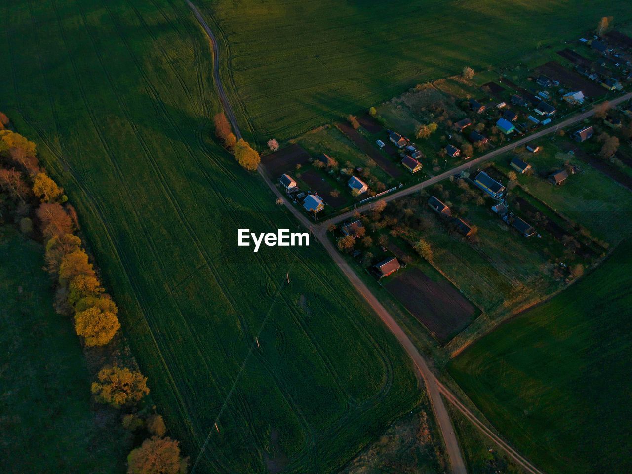 High angle view of agricultural field