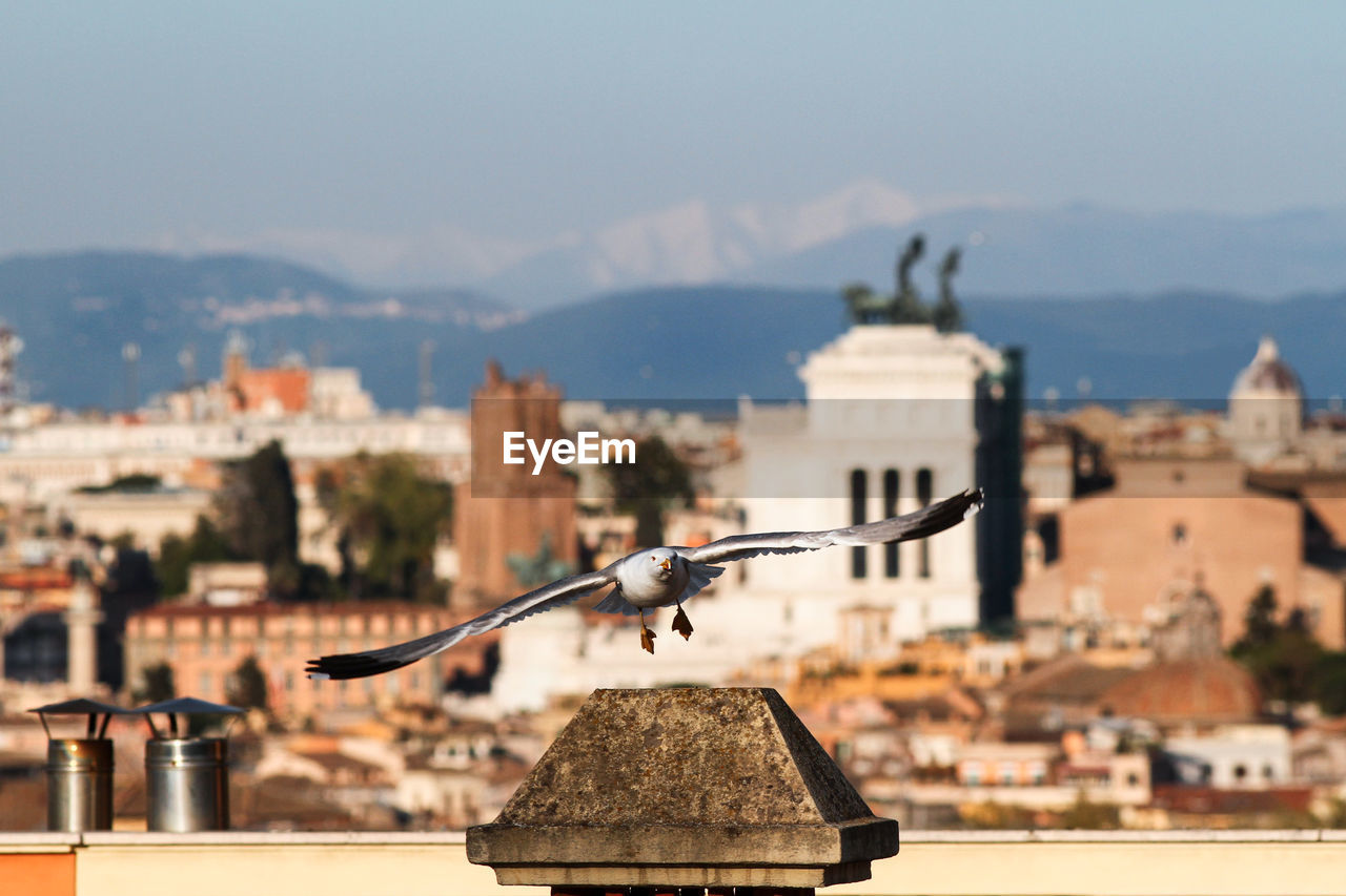 Panorama on the city of rome, altare della patria, roofs, churches. 