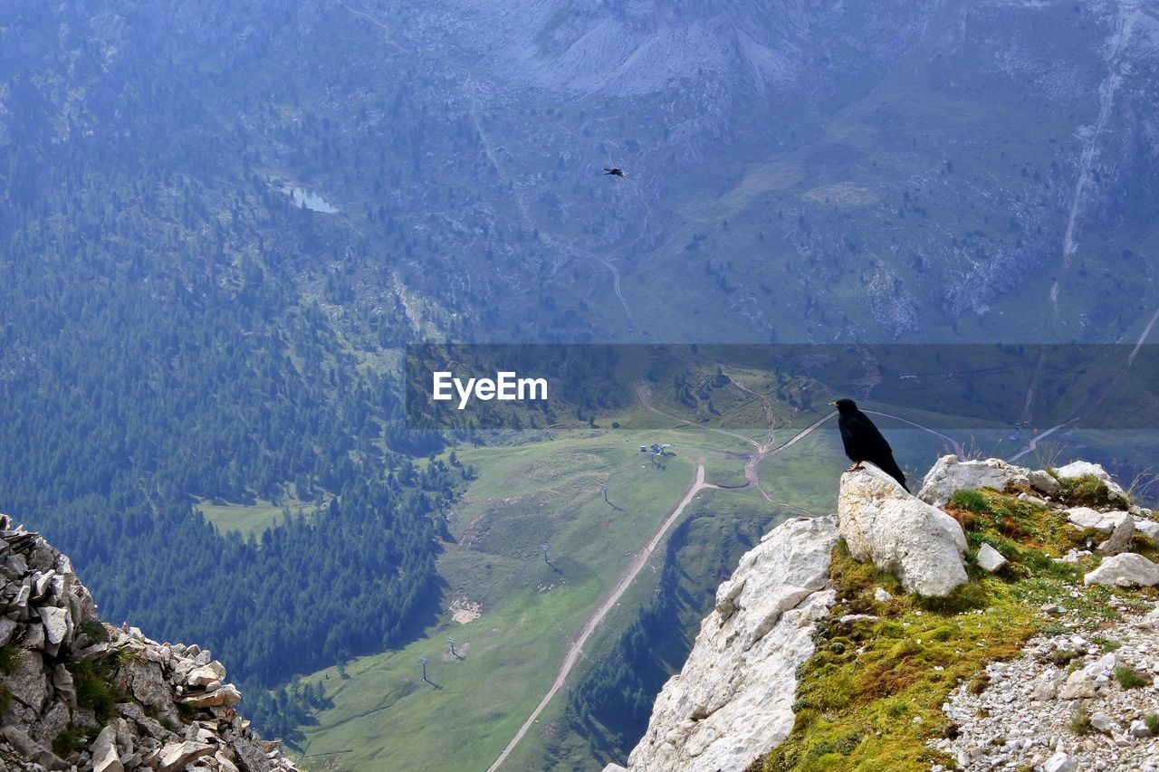 Scenic view of mountain range with black crow