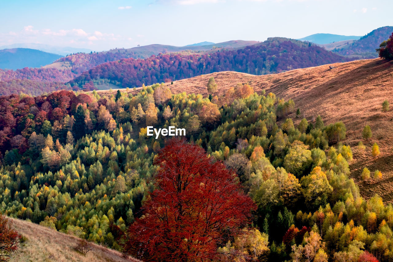 Romanian mountains in autumn season, cindrel mountains, paltinis area, sibiu county, central romania