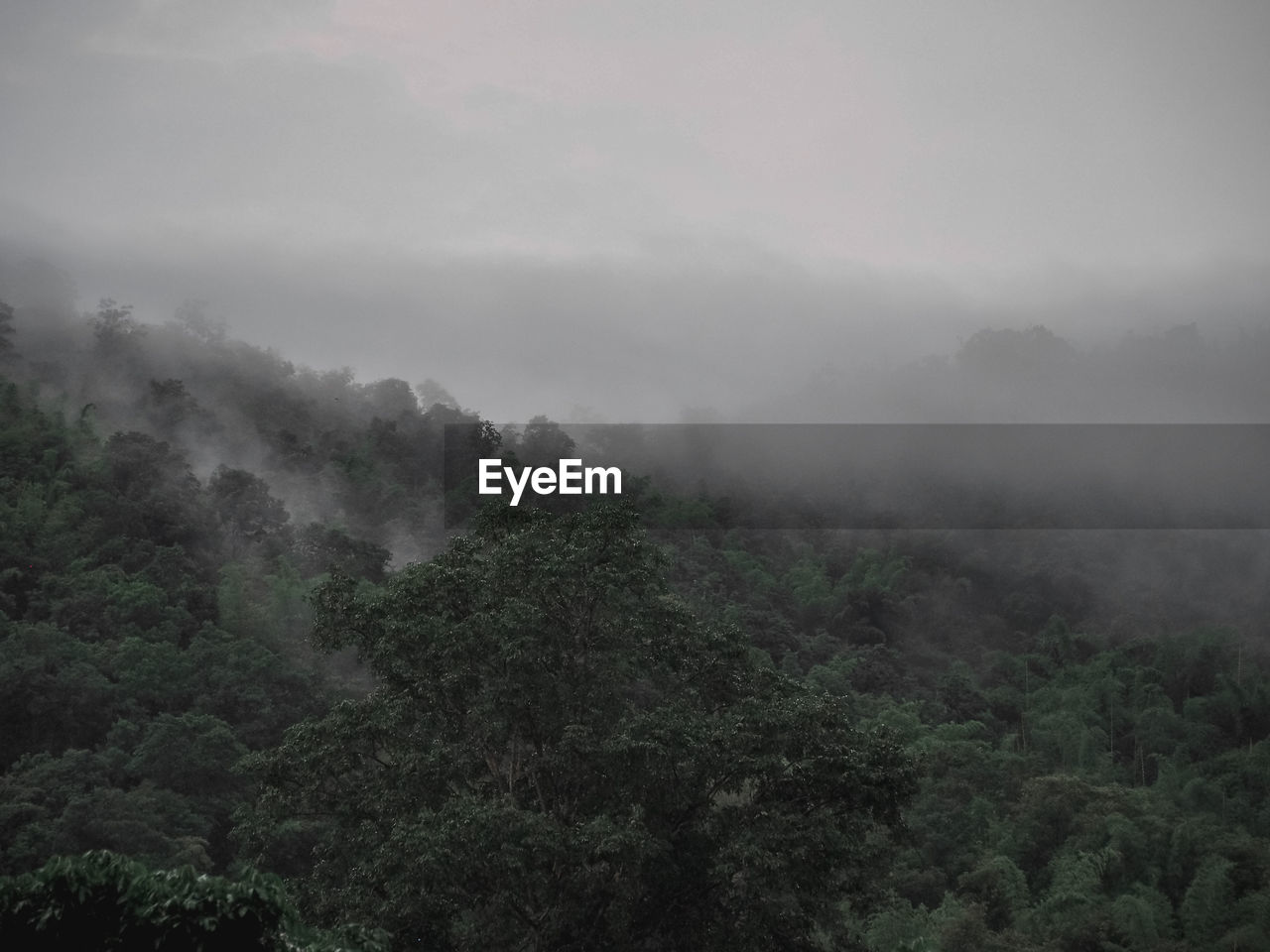 SCENIC VIEW OF FOGGY WEATHER AGAINST SKY
