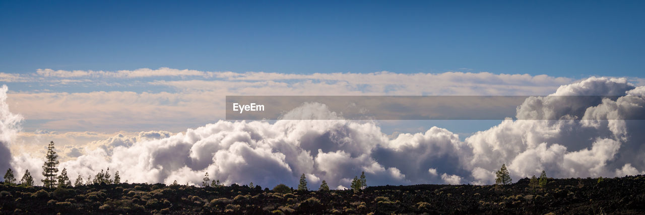 PANORAMIC VIEW OF LANDSCAPE AGAINST BLUE SKY