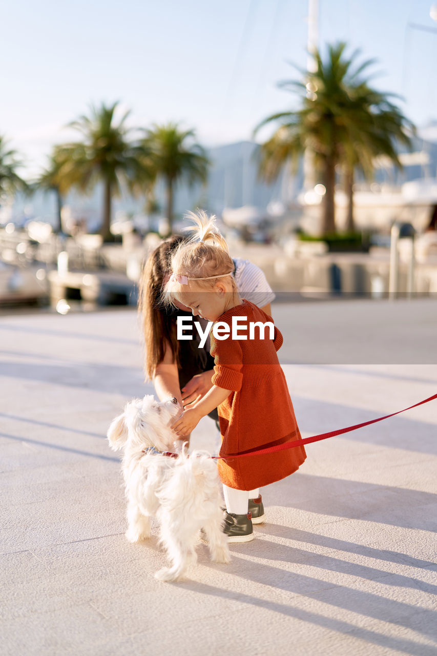 REAR VIEW OF WOMAN WITH DOG ON PALM TREE