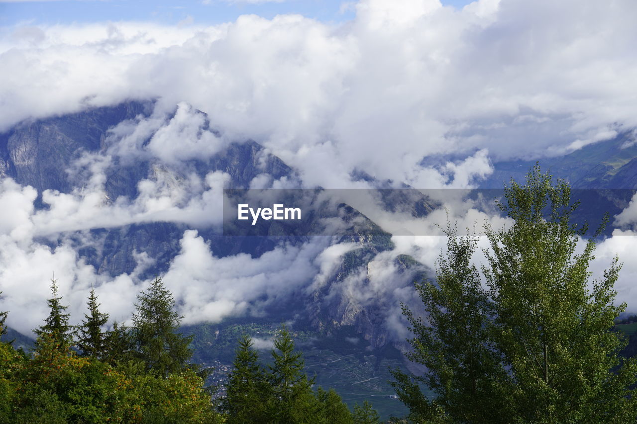 LOW ANGLE VIEW OF TREES AND MOUNTAINS AGAINST SKY