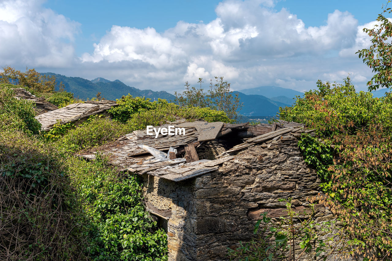 VIEW OF PLANTS AND MOUNTAINS AGAINST SKY