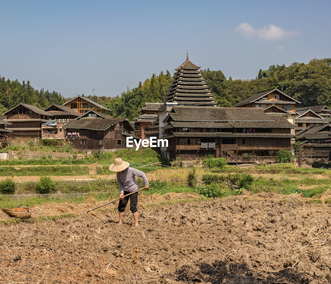 REAR VIEW OF MAN WALKING ON FIELD BY TEMPLE