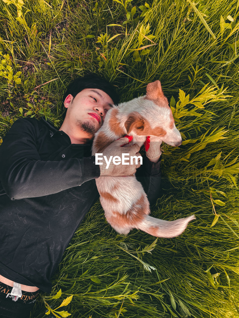 Man with dog lying in grass