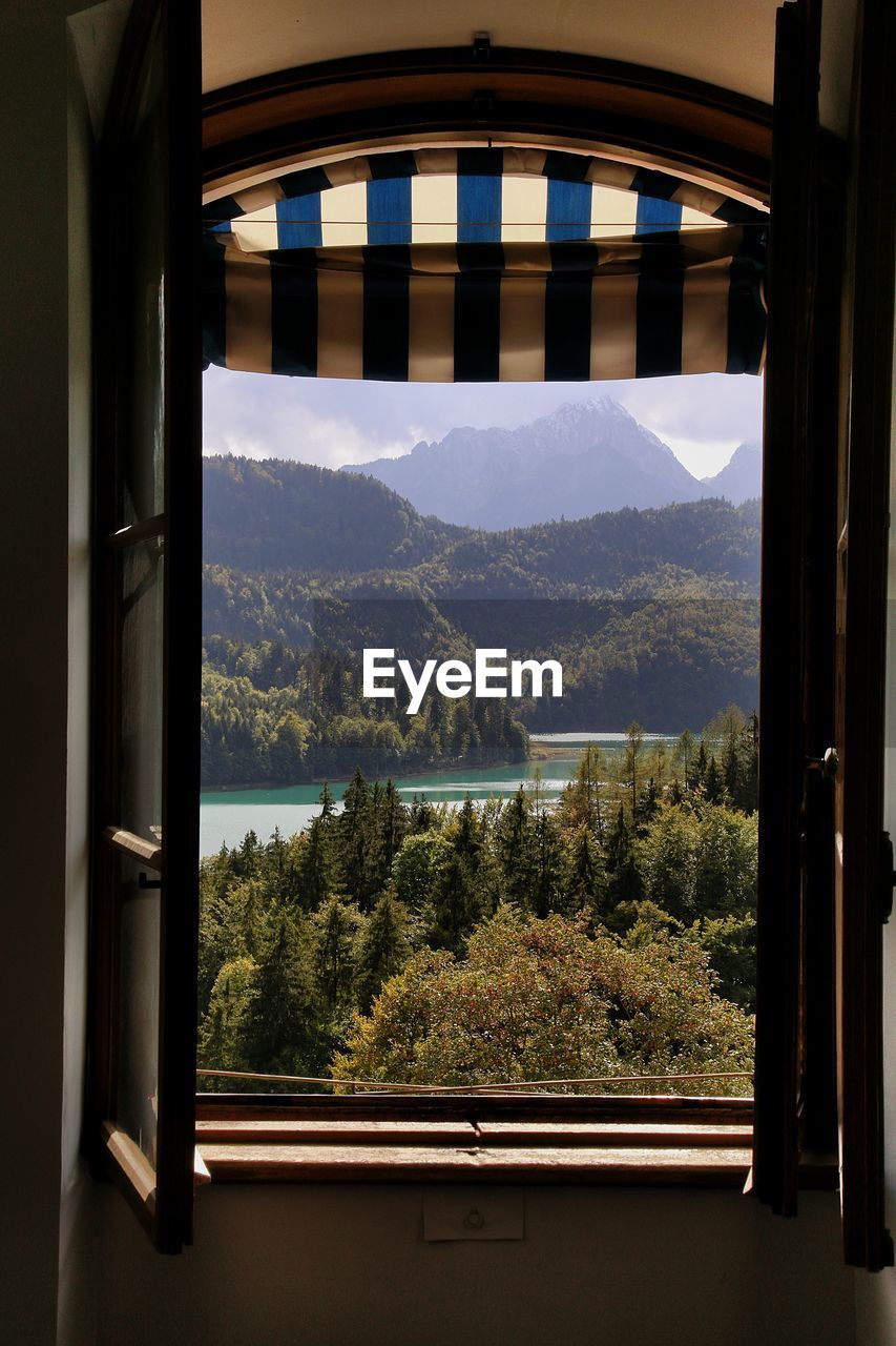 TREES AND PLANTS SEEN THROUGH GLASS WINDOW