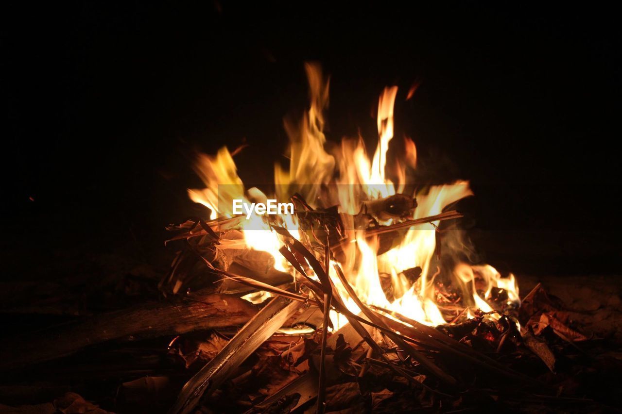 Close-up of campfire on field at night