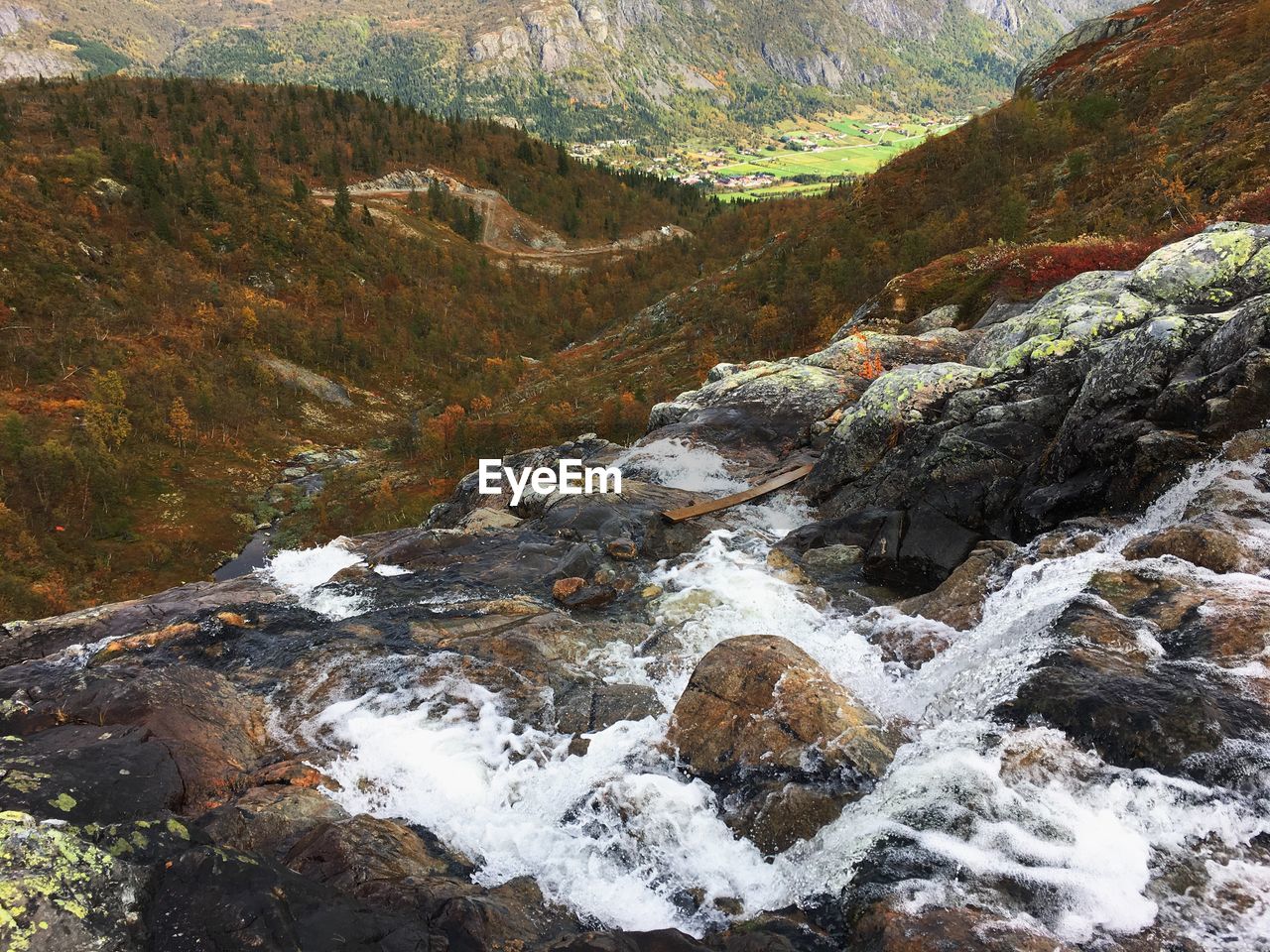 Scenic view of waterfall in forest