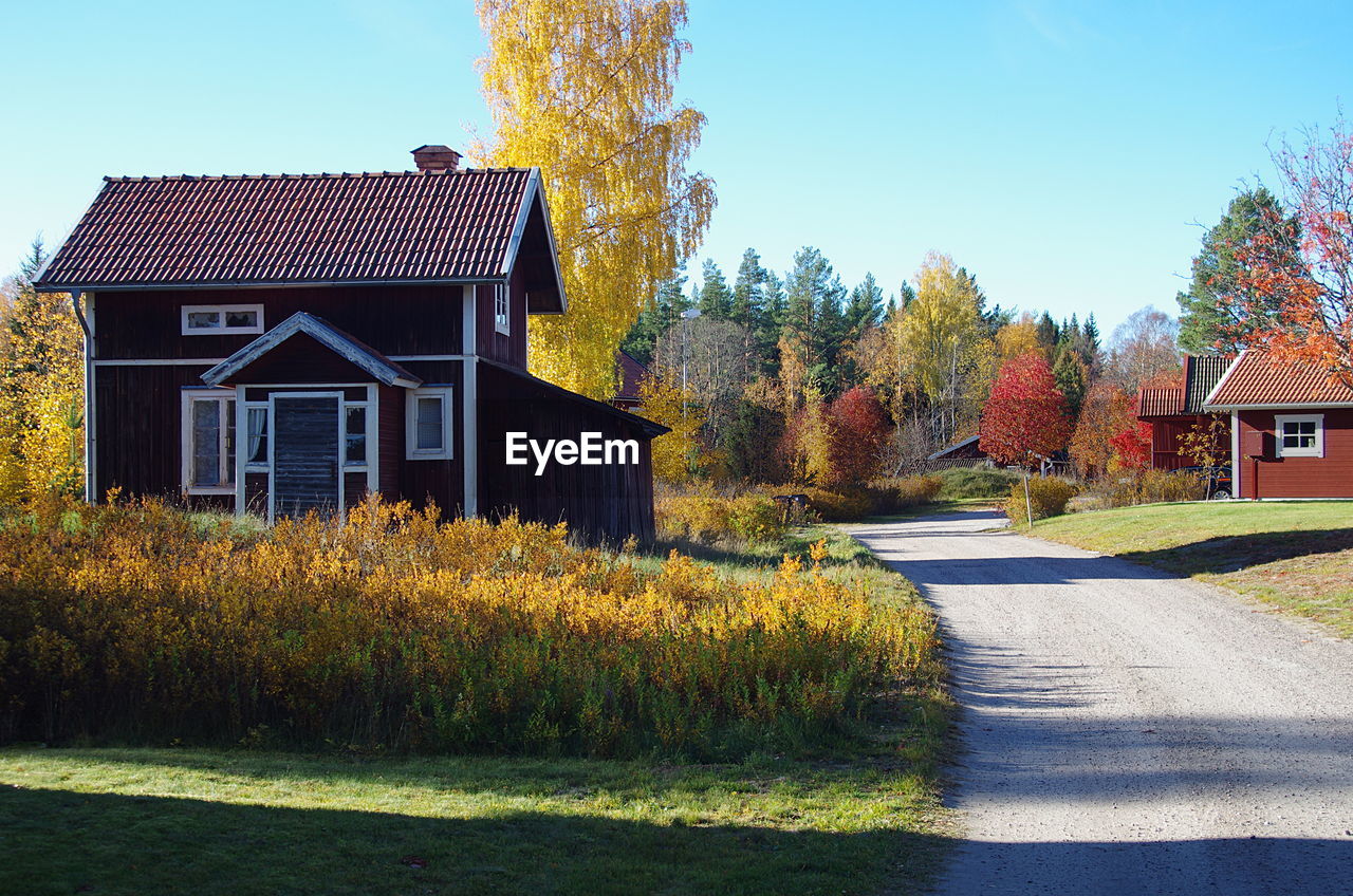 House and trees by road against clear sky