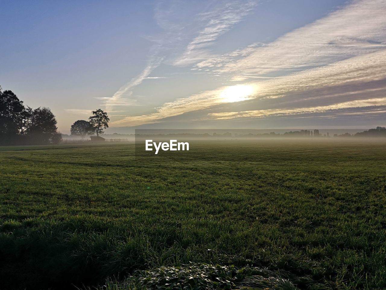 Scenic view of field against sky during sunset