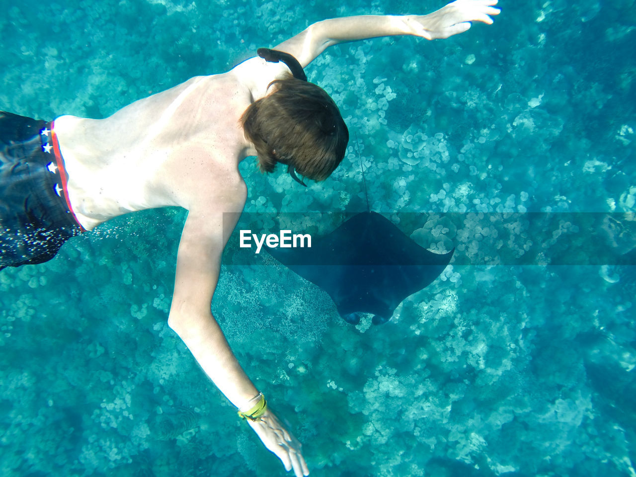 Shirtless man swimming in sea