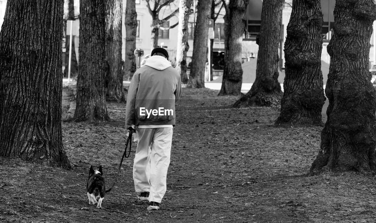 Rear view of man walking with dog in background