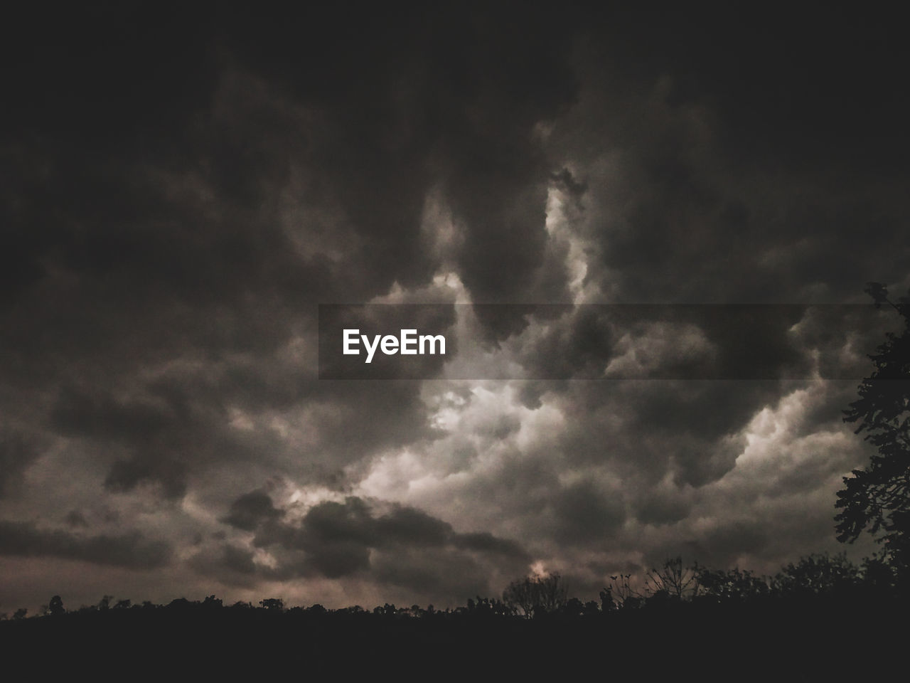 LOW ANGLE VIEW OF STORM CLOUDS OVER SILHOUETTE TREES