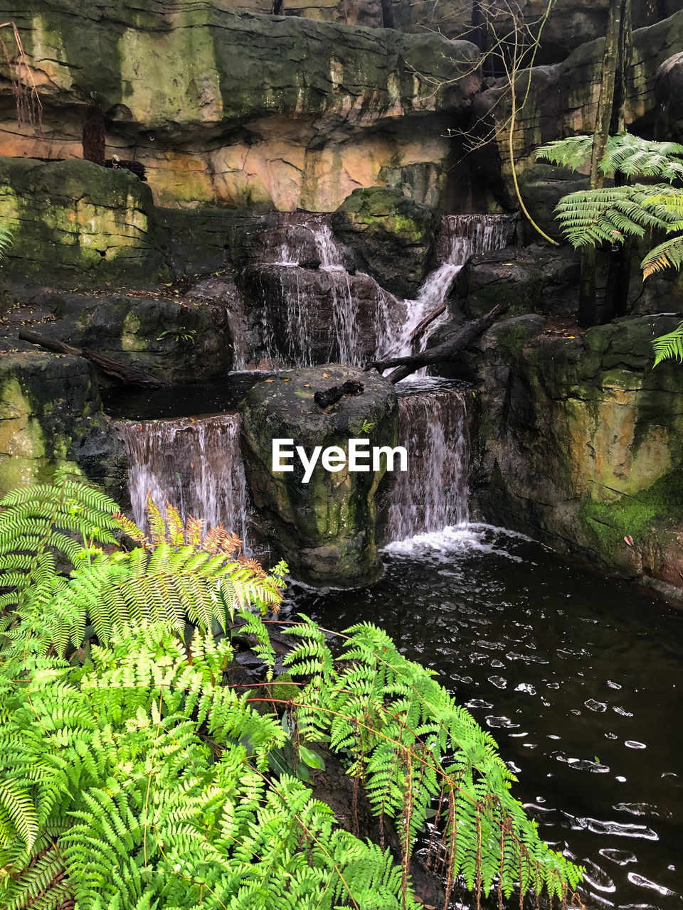 SCENIC VIEW OF WATERFALL AT FOREST