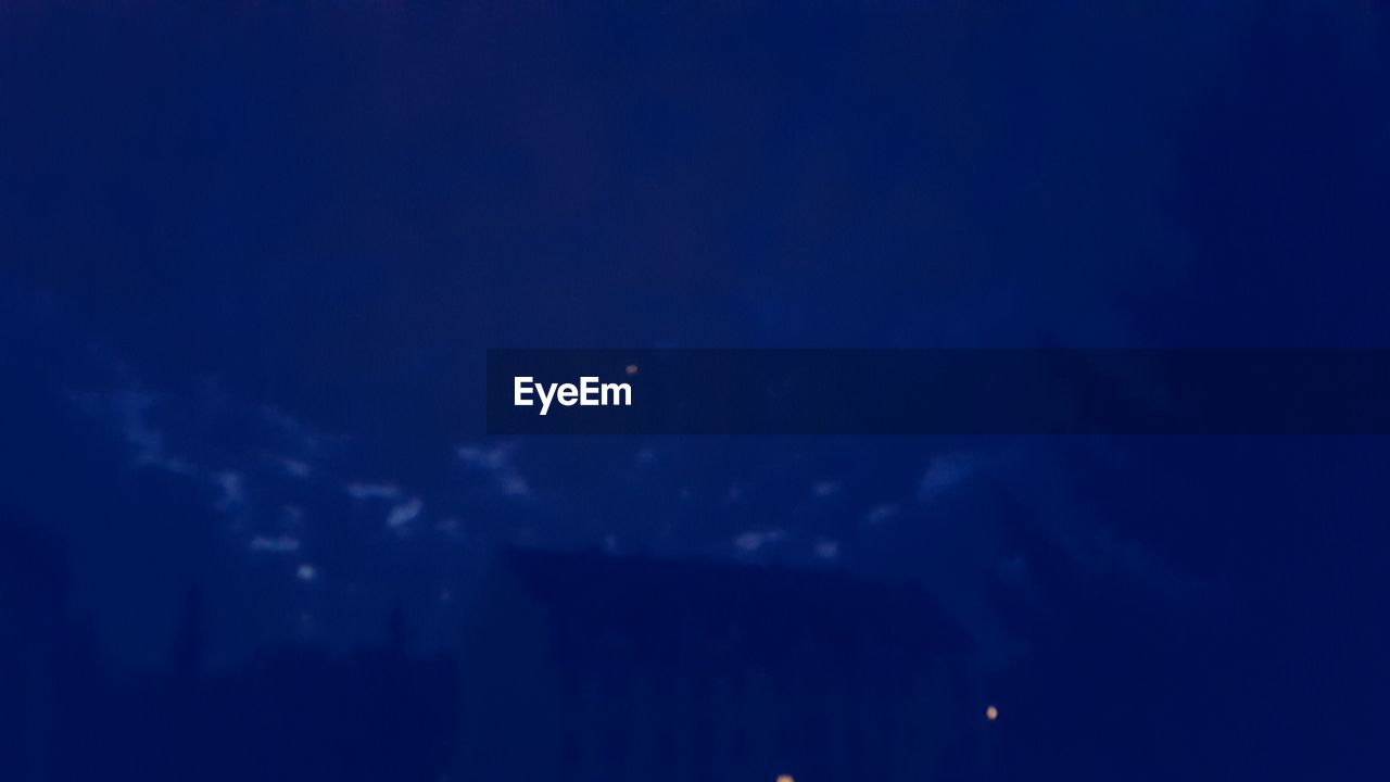 LOW ANGLE VIEW OF TREES AGAINST BLUE SKY