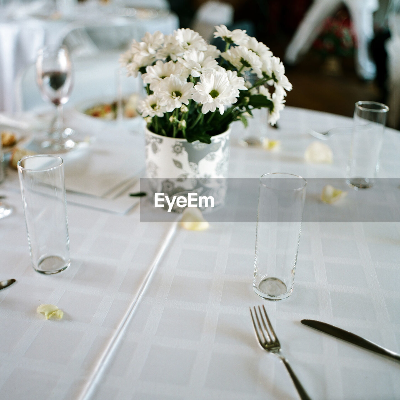 Place setting on elegant dining table