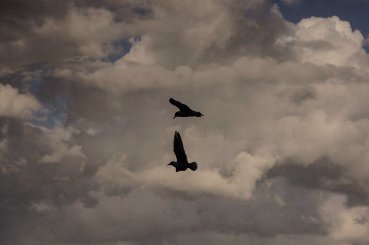 LOW ANGLE VIEW OF CLOUDY SKY