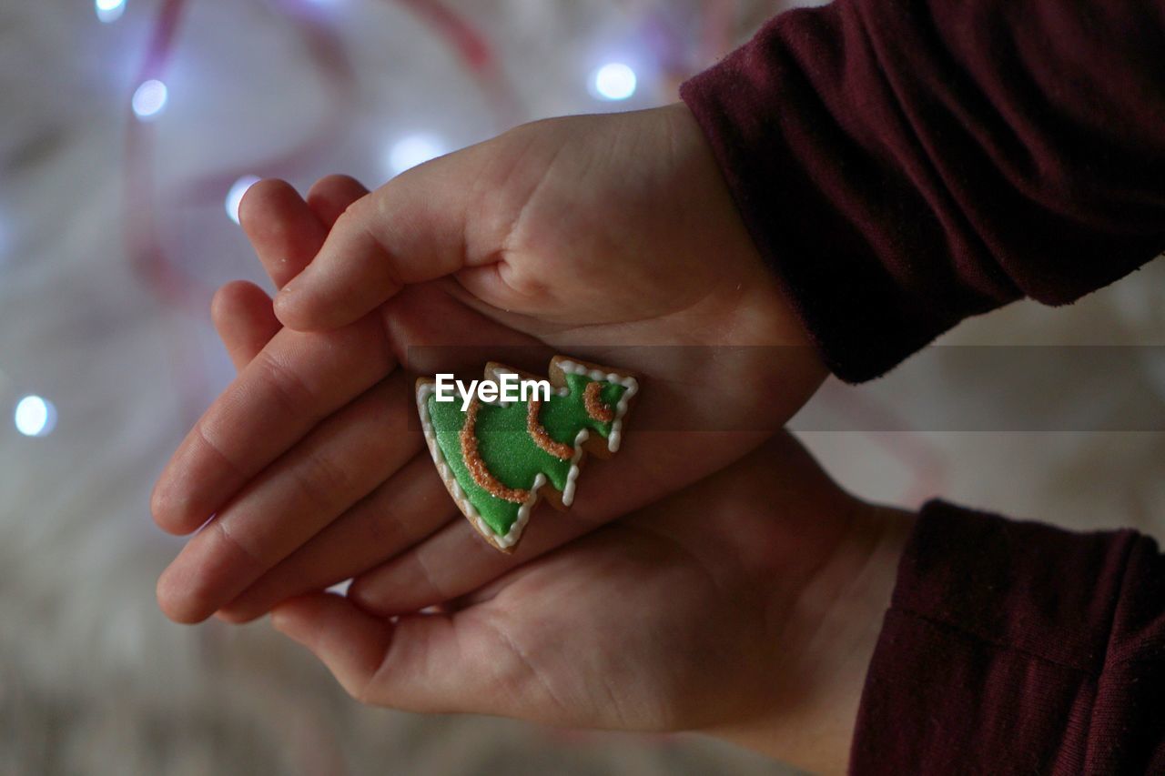 High angle view of person holding gingerbread cookie