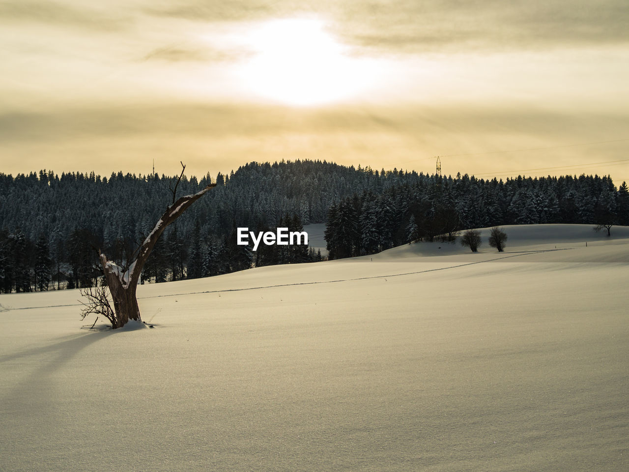 Snow covered field against cloudy sky